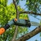 Scotts Outdoor Power Tools 10-Inch 8-Amp Corded Electric Pole Saw PS45010S - alternate 4